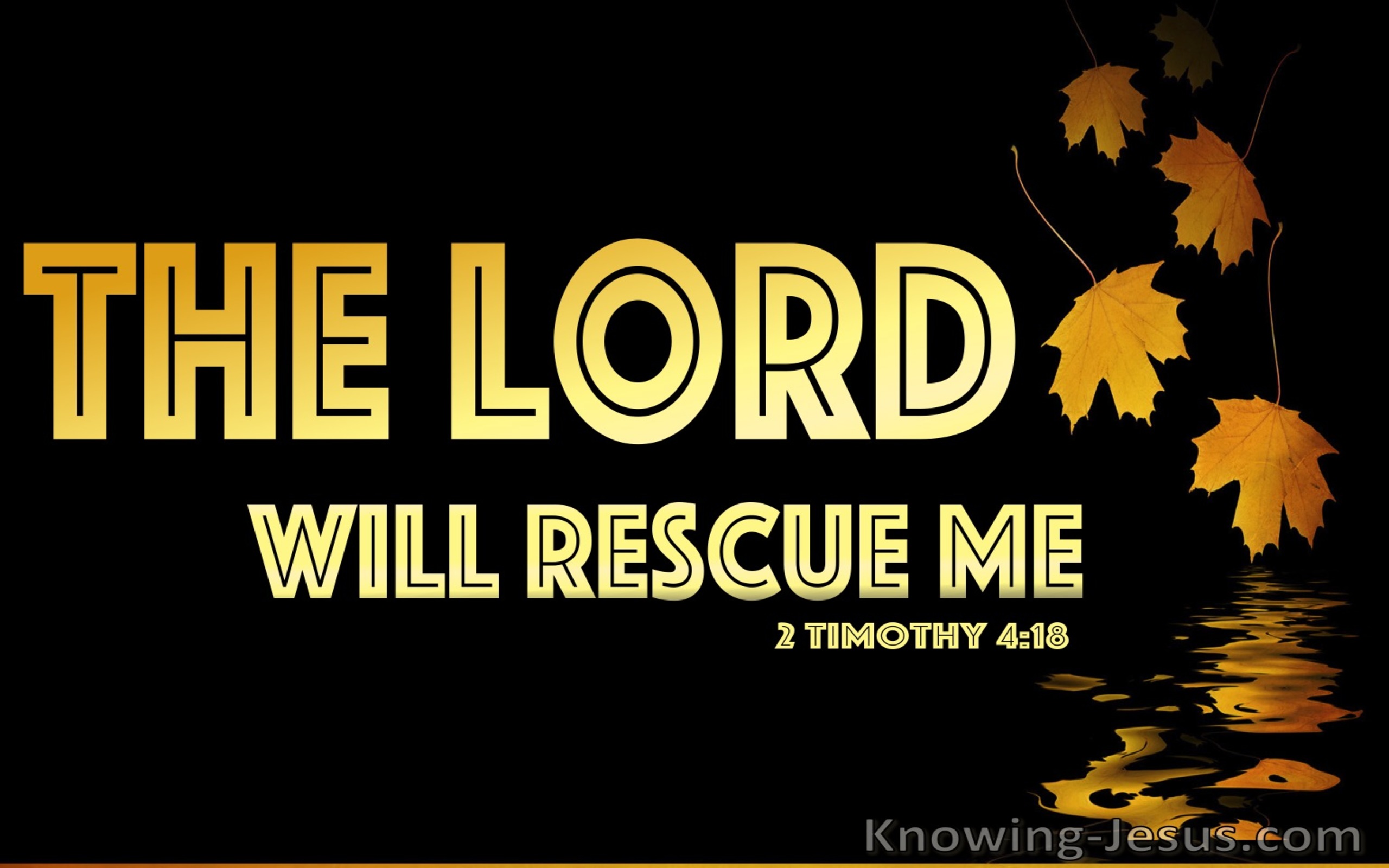 2 Timothy 4:18 The Lord Will Rescue Me (black)